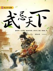忌武曲星是什么意思