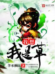 我只想安静的做个魔法师