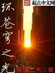苍穹之光的价格