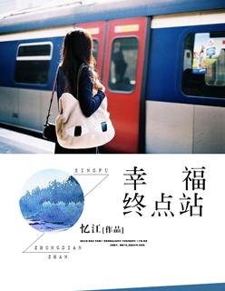 幸福终点站普通话国语在线观看