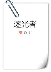 逐光者营地闪退
