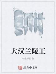 大汉兰陵王阅读