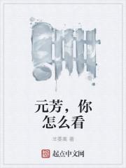 元芳你怎么看dj版 冷漠