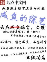 咸鱼的综艺人生