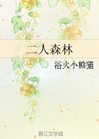 二人森林类似