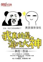 我真的是游戏高手