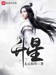 龙魂旅人升星