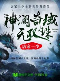 神澜奇域无双珠还有后续吗