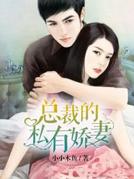 总裁的私有前妻