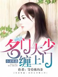 小妻难逃名门大少缠上门甜蜜的折磨