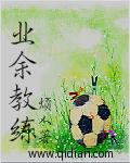 业余教练个人简历