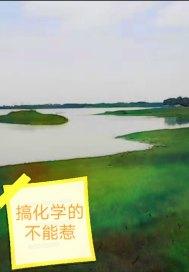 搞化学的不能惹 起点中文网