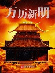 万历新明TXT百度