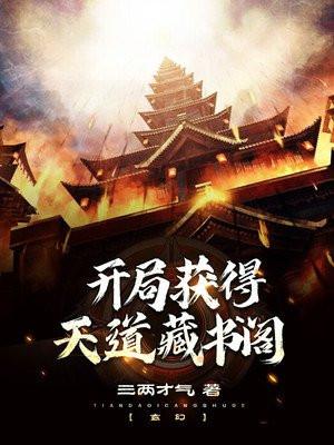 开局天道修为
