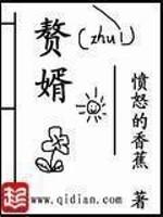 赘婿宁毅苏檀儿同人