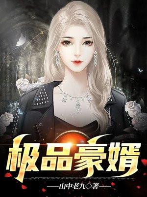 极品豪婿图片