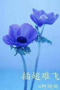 陆进沈初云免费阅读