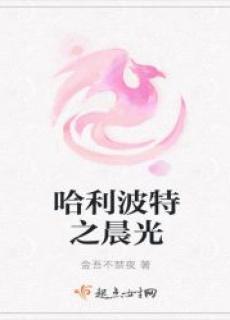 哈利波特之晨光晋江