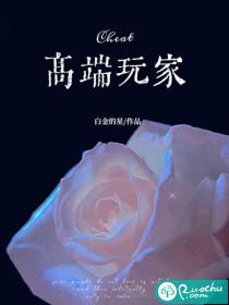 高端玩家电影免费观看