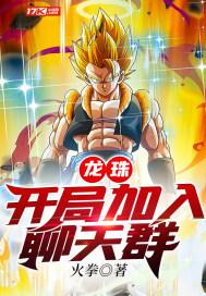 龙珠开局加入聊天群顶点