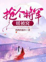 抢来的将军全文阅读