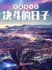 我在霍格沃兹决斗的日子