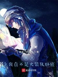精灵世界我是火箭队笔趣阁