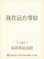 我在远方等你原创歌词