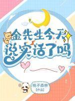 金先生是什么电视剧