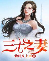 三十之妻免费阅读笔趣阁