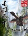 类似墨门飞甲