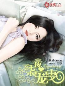 独家婚宠辛晴赢肇苍未删减版