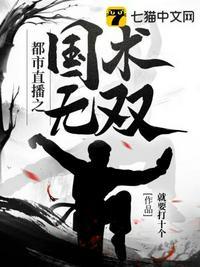 都市之国术无双无极