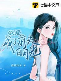 离婚后成了前夫白月光短剧94集