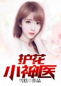 护花小神医笔趣阁