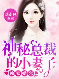 神秘总裁的小小妻全文阅读