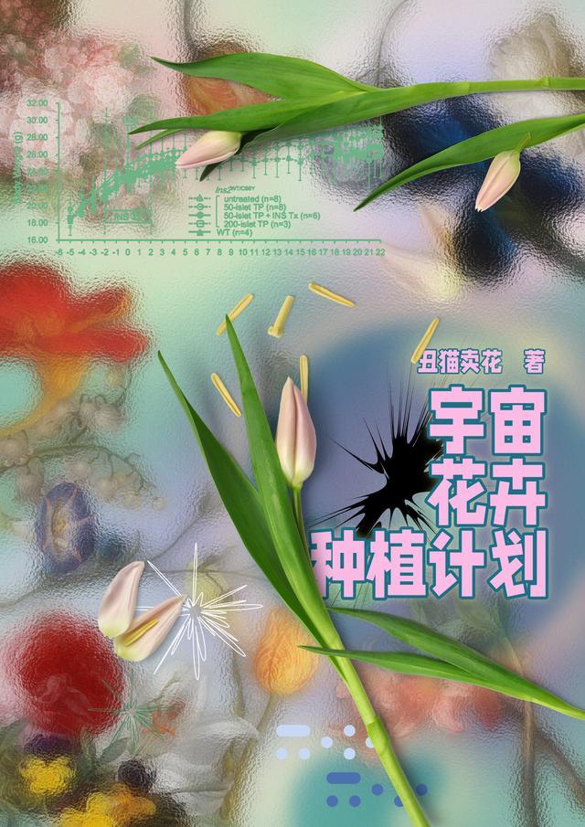 宇宙之种