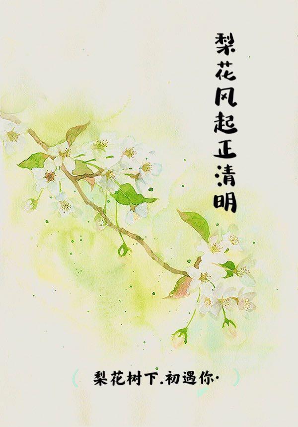 梨花风起正清明丁立梅阅读题