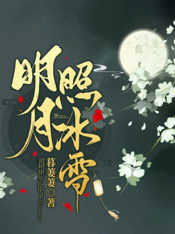 明月照雪阅读理解答案