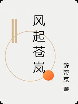 风起苍岚完结了没有