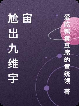 九维概念