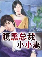 腹黑总裁小小妻全文阅读免费最新章
