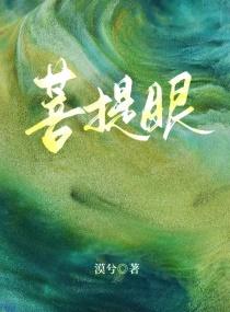 菩提眼全本txt百度