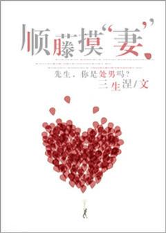 顺藤摸妻资源链接