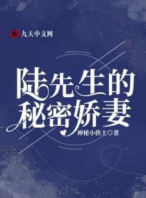 陆先生的秘密娇妻 神秘小侠士