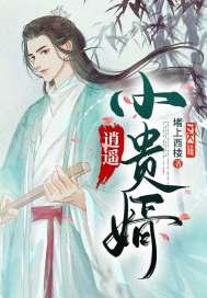 逍遥小贵婿奚帷真实身份