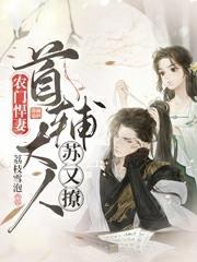 农门悍妻首辅宠妻