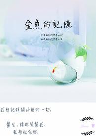 金鱼的记忆只有七秒所以每次转身