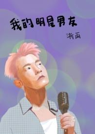 我的明星男友系列游戏