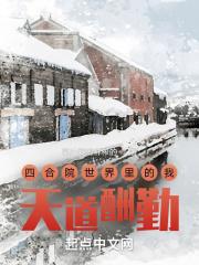 四合院之天道